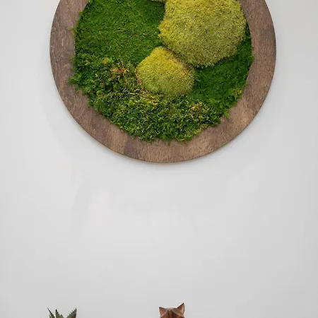 Piekny Z Sypialnia I Biurkiem By Renters