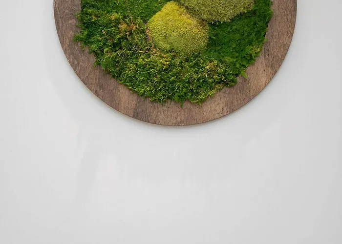 Piekny Z Sypialnia I Biurkiem By Renters